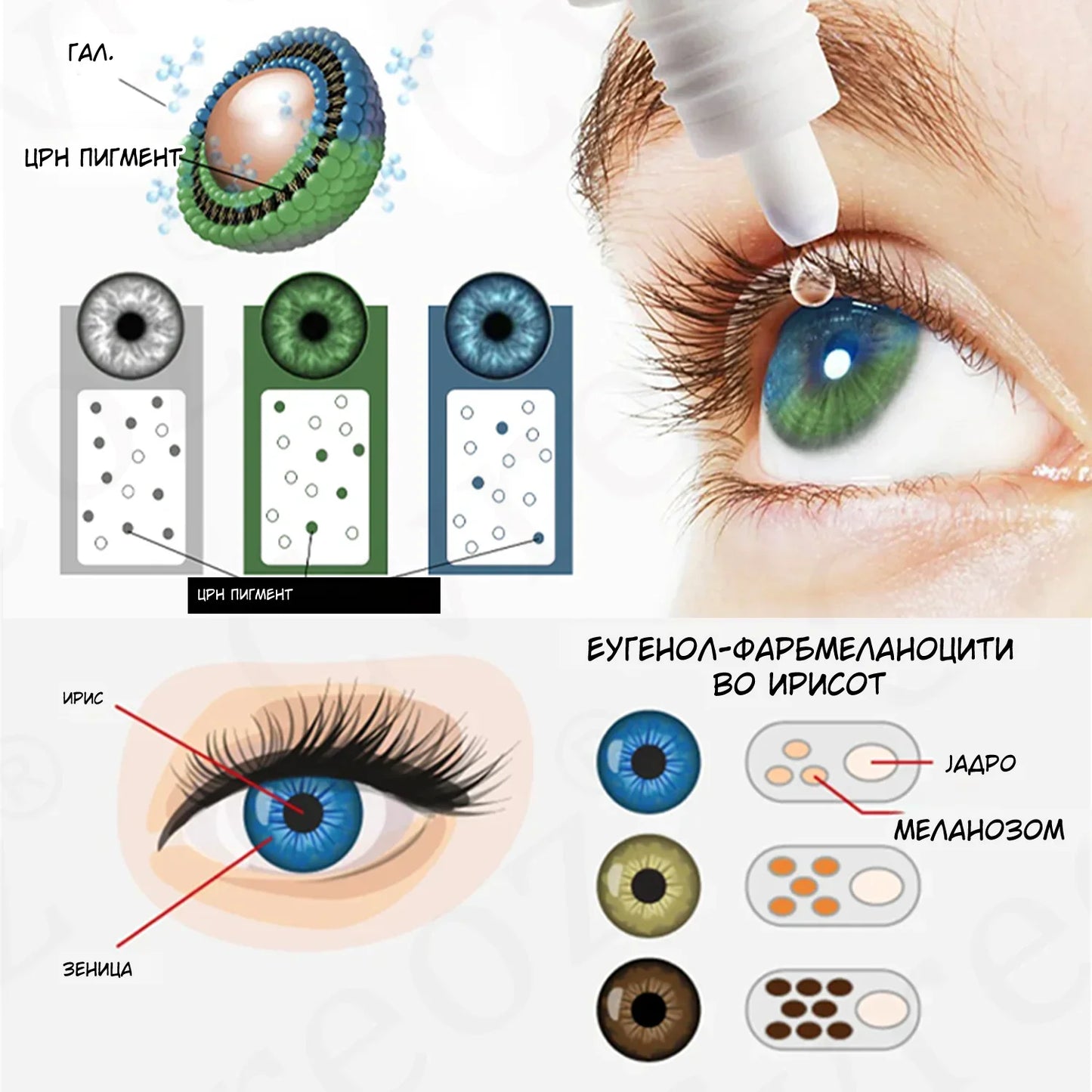 Cvreoz® EyeCandy – Природни капки што ја менуваат бојата на очите за 2 часа (без контактни леќи!)