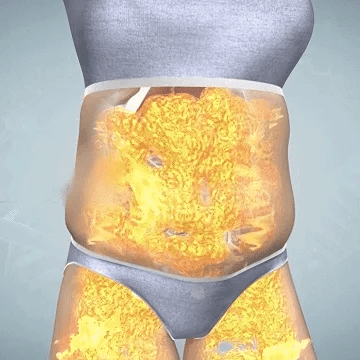 Liver+™ Природен Хербален Суплемент за Црн Дроб детоксикација на телото