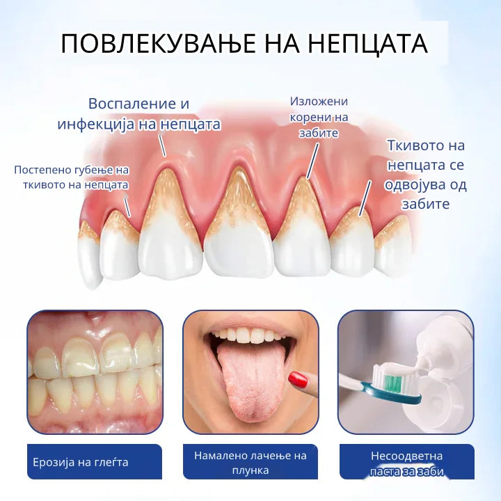 Збогум на Повлекувањето Непца и Болката за 7 Дена! BeeTakt со Матичен Млеч – 50% ПОПУСТ Додека Трае Залихата!