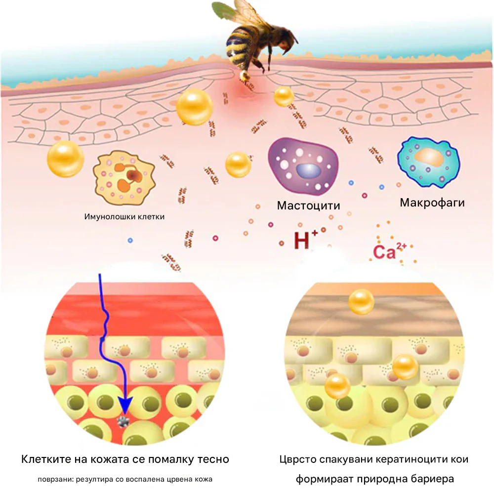 ⚕️𝐳𝐯𝐨𝐞𝐯𝐨® Спреј со Матичен Млеч за Кожа