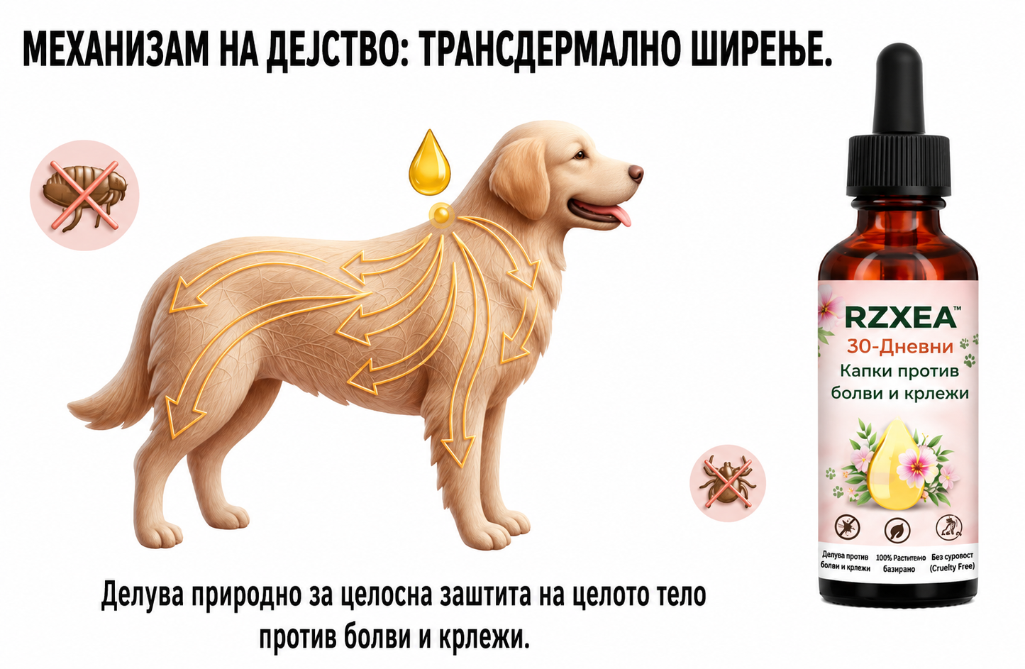 🚨 САМО ДЕНЕС -60% ПОПУСТ  RZXEA™Ефикасна заштита од болви и крлежи