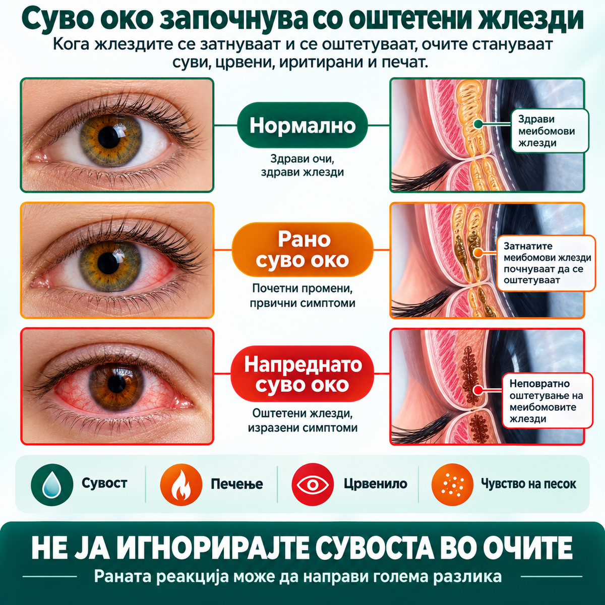 OptiClear™ Nano Eye Roller — АКО ВИДОТ ТИ СТАНУВА ПОЗАМАТЕН И СИТНИТЕ БУКВИ ВЕЌЕ НЕ СЕ КАКО ПОРАНО, НЕ ЧЕКАЈ ДА СТАНЕ УШТЕ ПОИЗРАЗЕНО