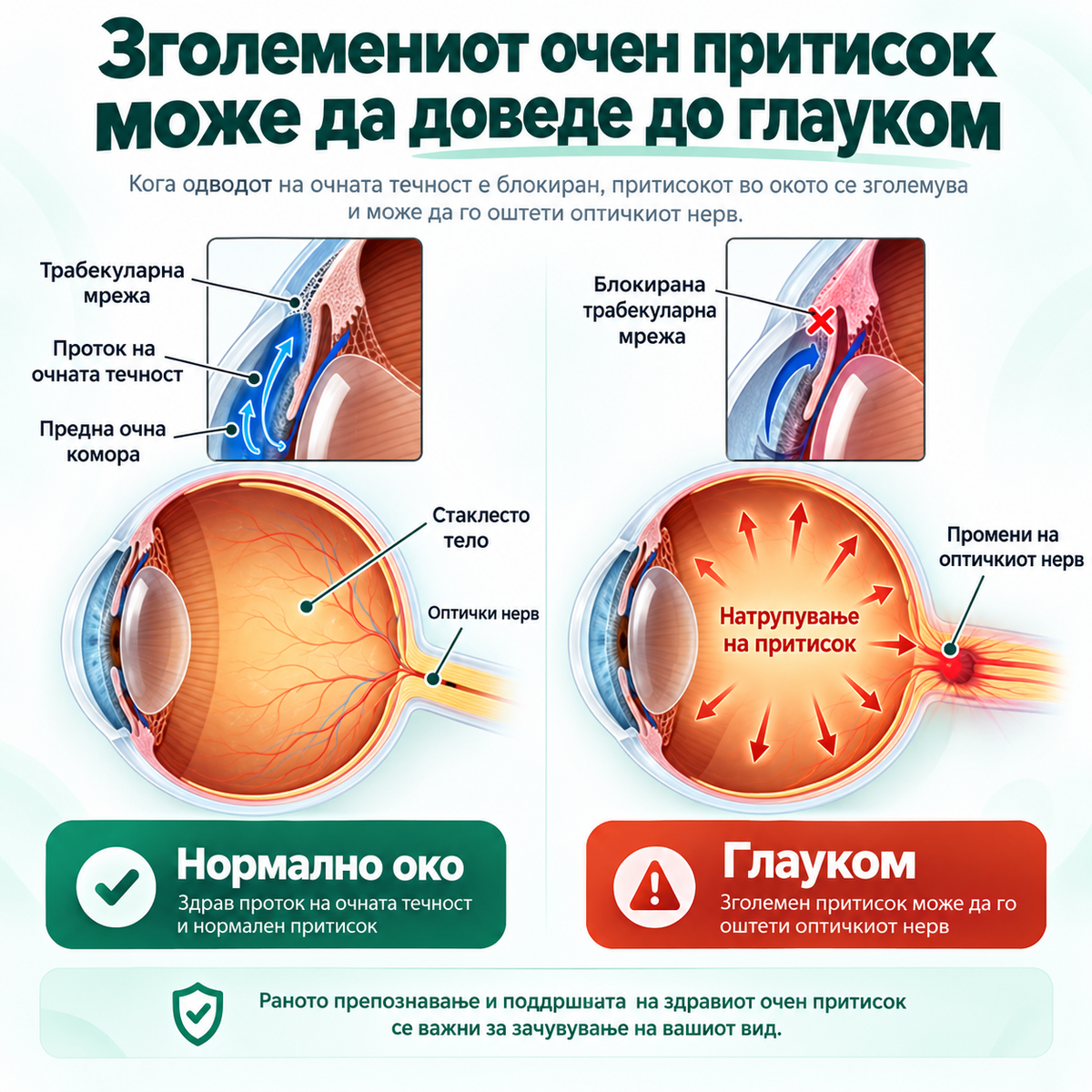 OptiClear™ Nano Eye Roller — АКО ВИДОТ ТИ СТАНУВА ПОЗАМАТЕН И СИТНИТЕ БУКВИ ВЕЌЕ НЕ СЕ КАКО ПОРАНО, НЕ ЧЕКАЈ ДА СТАНЕ УШТЕ ПОИЗРАЗЕНО