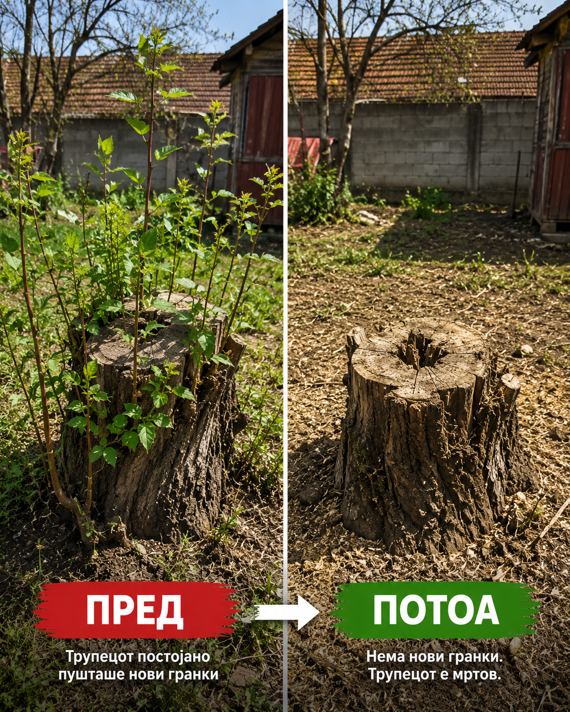 🏆 LIMETOW® Прашок за Уништување Коров