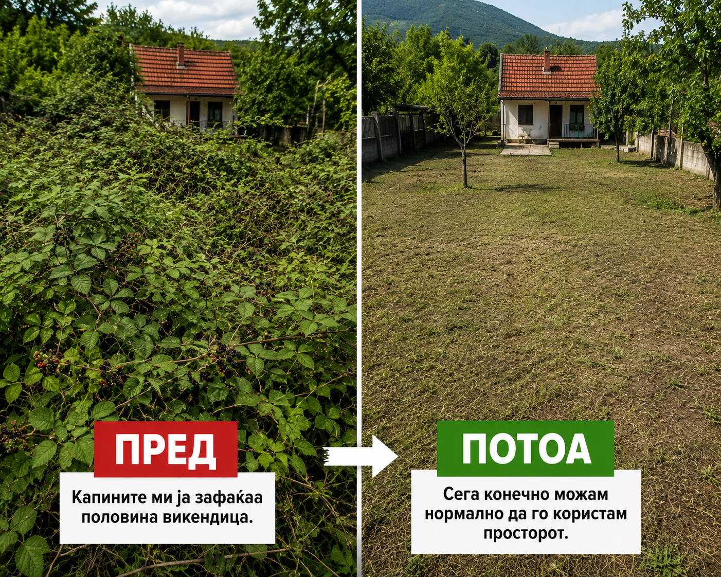 🏆 LIMETOW® Прашок за Уништување Коров