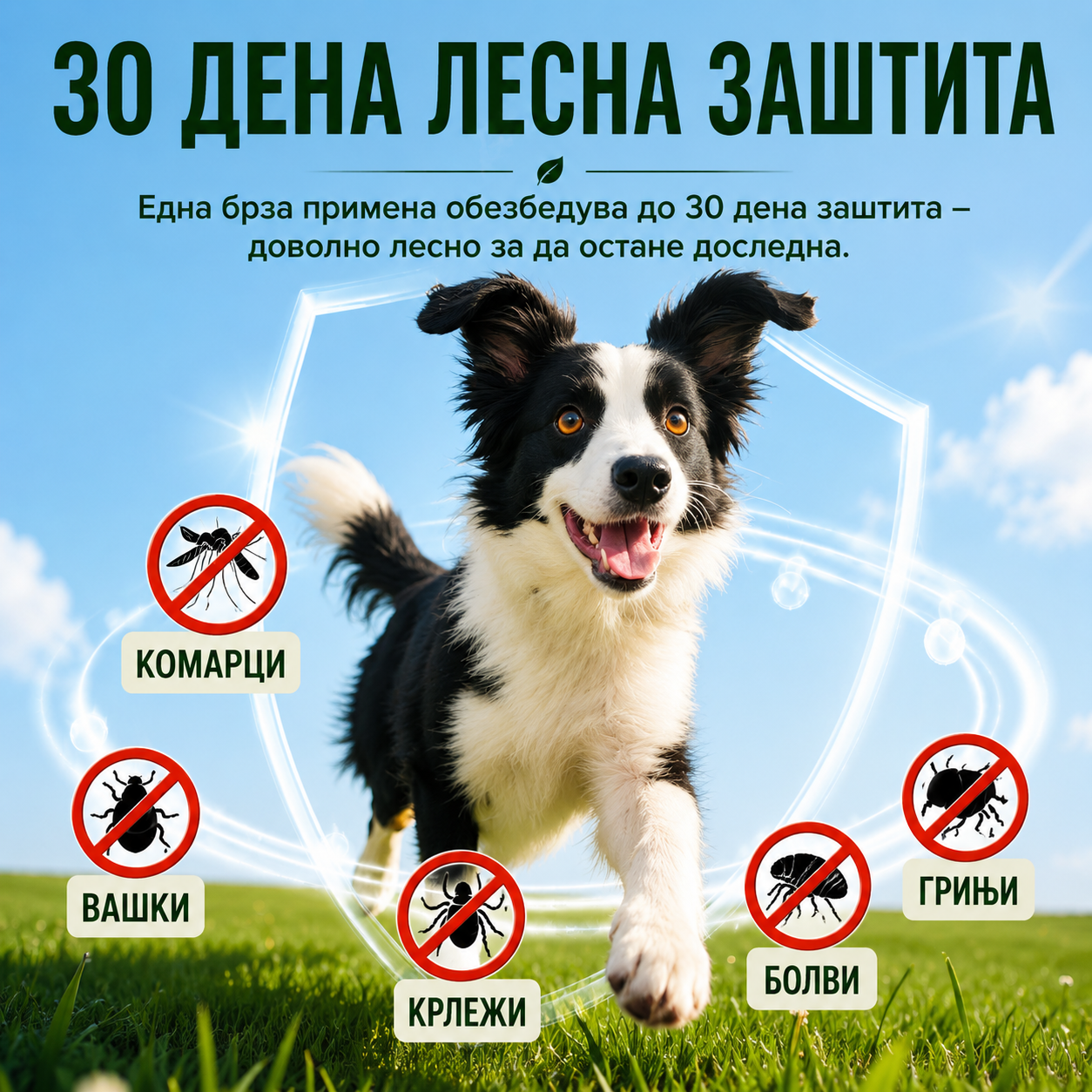 🚨 САМО ДЕНЕС -60% ПОПУСТ  RZXEA™Ефикасна заштита од болви и крлежи