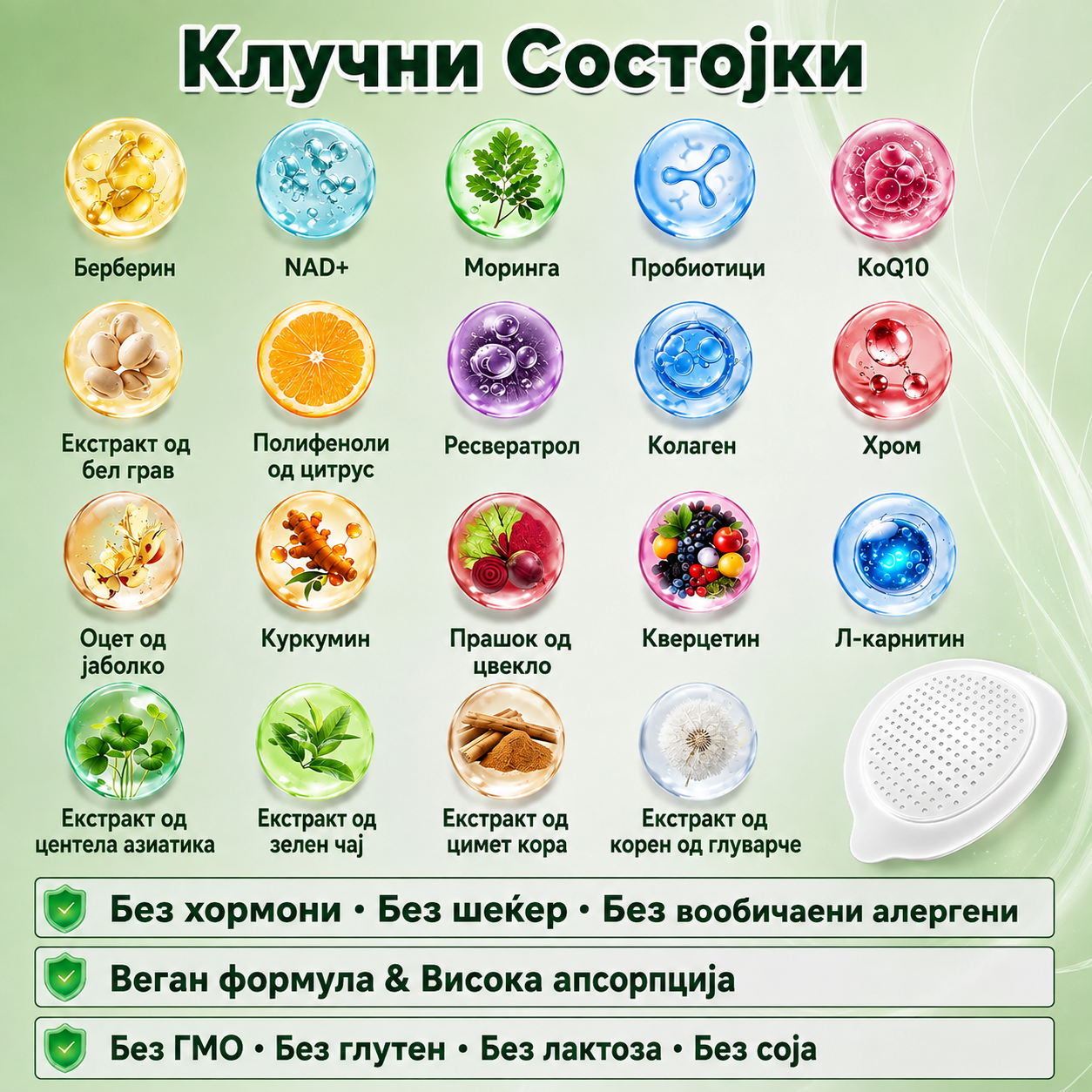 Еден фластер дневно. Без апчиња. Без инјекции. Повеќе контрола .GLORENDA® Moringa · Berberine × NAD+